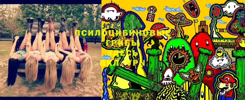 Галлюциногенные грибы Cubensis  Грязи 